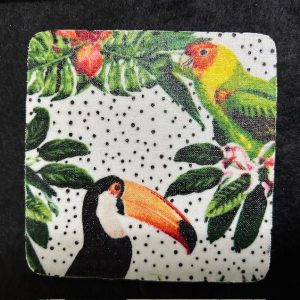 Tropical Birds Coasters (Squares)